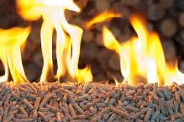 HOME AND GARDEN CYPRUS WOOD PELLETS ΠΕΛΛΕΤ ΞΥΛΟΥ