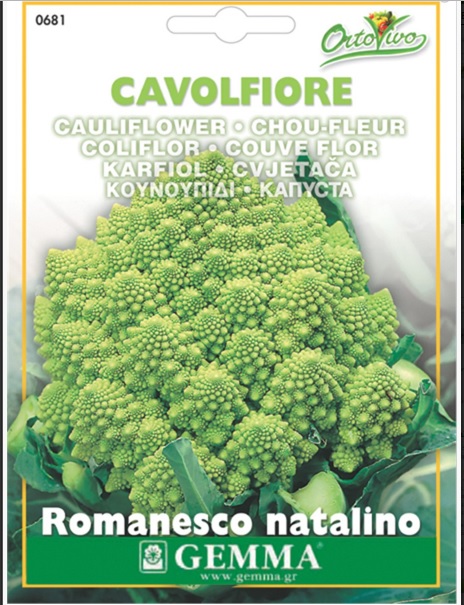 Vegetable Seeds Cauliflower Broccoli Romanesco Natalino