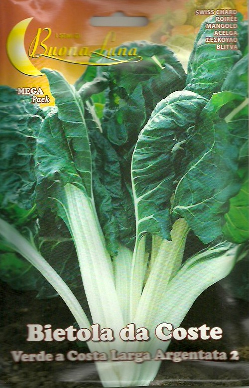 Vegetable Seeds Swiss Chard Argentata 2 Seeds