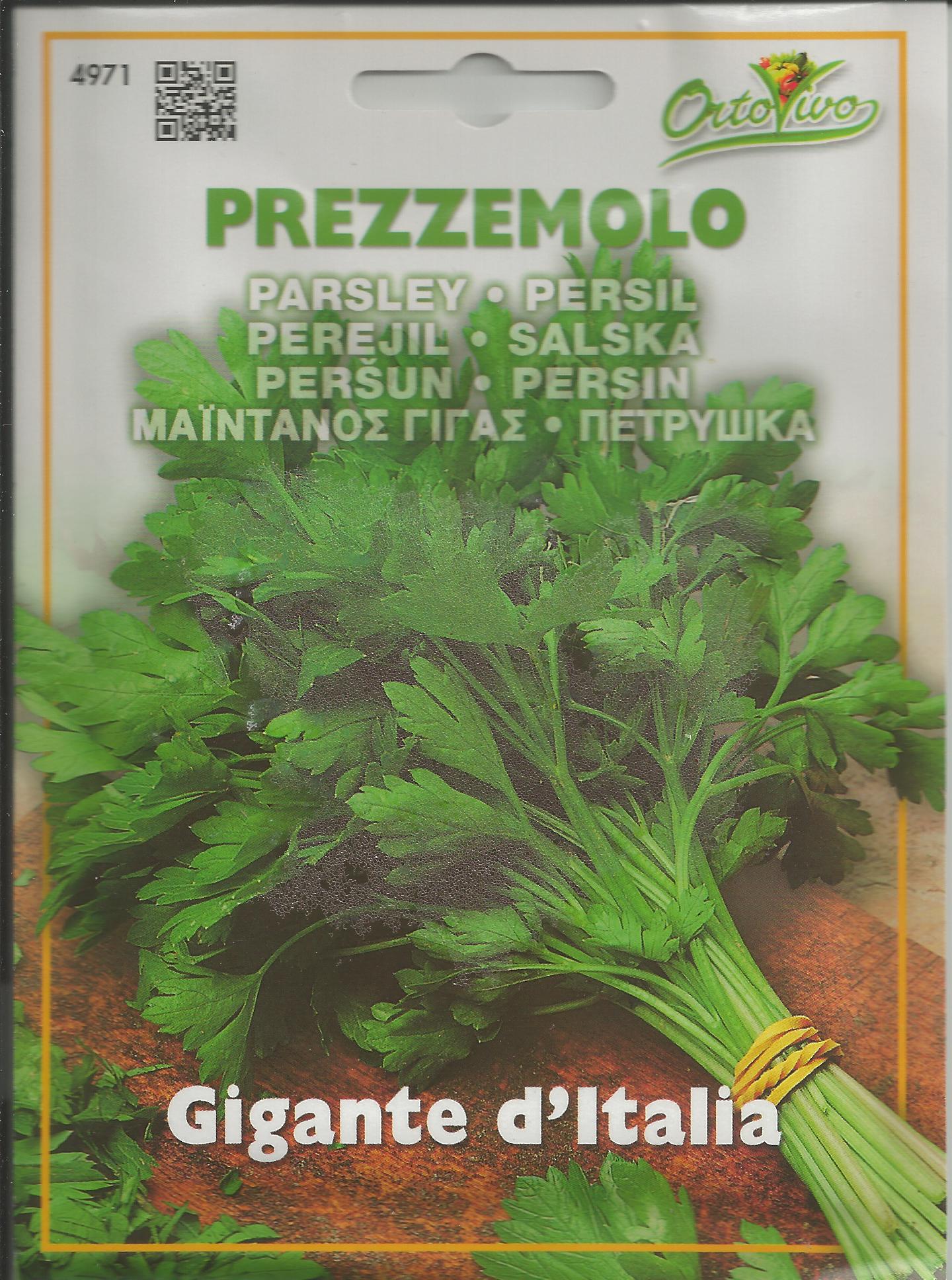HERBS SEEDS PARSLEY GIGANTE D'ITALIA SEEDS