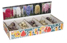 VITA HYACINTH BULBS MIXED 250 PCS 008 VITA ΒΟΛΒΟΙ ΖΟΥΜΠΟΥΛΙ (ΥΑΚΙΝΘΟΣ) ΜΙΓΜΑ 250 PCS 008