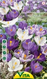 VITA CROCUS BULBS MIX 10 PCS 040 VITA ΚΡΟΚΟΣ ΒΟΛΒΟΙ ΜΙΓΜΑ 10 PCS 040