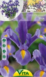 VITA IRIS HOLLANDICA BLUE BULBS 10 PCS 056 VITA ΒΟΛΒΟΙ ΙΡΙΔΑ ΜΠΛΕ 10 PCS 056