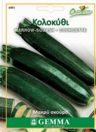 MARROW - SQUASH DARK GREEN SEEDS ΣΠΟΡΟΙ ΚΟΛΟΚΥΘΙ ΜΑΚΡΥ ΣΚΟΥΡΟ