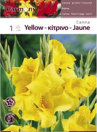 CANNA YELLOW BULB 1 PC 125 ΚΑΝΝΑ ΚΙΤΡΙΝΗ ΒΟΛΒΟΣ 1 PC 125