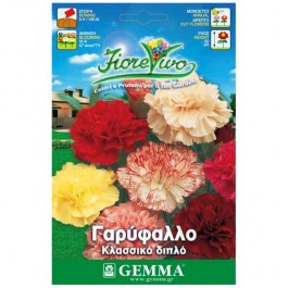 CARNATION SEEDS ΣΠΟΡΟΙ ΓΑΡΥΦΑΛΛΟ ΚΛΑΣΣΙΚΟ ΔΙΠΛΟ