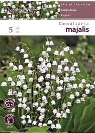 CONVALLARIA MAJALIS LILY OF THE VALLEY BULBS 5 PCS 130 ΚΟΝΒΑΛΑΡΙΑ – ΜΙΓΚΕ ΒΟΛΒΟΙ 5 PCS 130