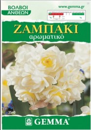 GEMMA NARCISSUS DOUBLE BULBS 2 PCS 3540 GEMMA ΝΑΡΚΙΣΣΟΣ (ΖΑΜΠΑΚΙ) ΒΟΛΒΟΙ 2 PCS 3540