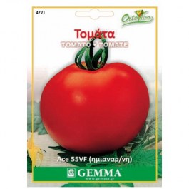 TOMATO ACE 55VF SEEDS ΣΠΟΡΟΙ ΝΤΟΜΑΤΑ ACE 55VF