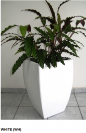 FLOWER POT PLASTIC PRIBO 55   ΓΛΑΣΤΡΑ ΠΛΑΣΤΙΚΗ PRIBO 55