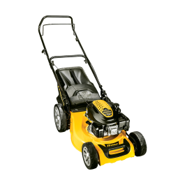FF GROUP PETROL LAWN MOWER (PUSHED) 123cc 46cm CP1 484 W 45651FF GROUP ΧΛΟΟΚΟΠΤΙΚΗ ΜΗΧΑΝΗ ΒΕΝΖΙΝΗΣ (ΩΘΟΥΜΕΝΗ) 123cc 46cm CP1 484 W 45651