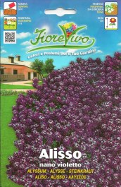 ALYSSUM PURPLE SEEDS ΣΠΟΡΟΙ ΑΛΥΣΣΟΣ ΜΩΒ