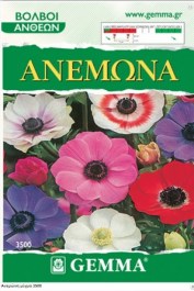 GEMMA ANEMONE BULBS MIX 7 PCS 3500 GEMMA ΒΟΛΒΟΙ ΑΝΕΜΩΝΗΣ  ΜΙΓΜΑ 7 PCS 3500