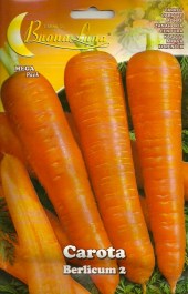 CARROT BERLICUM 2 SEEDS ΣΠΟΡΟΙ ΚΑΡΟΤΟ BERLICUM 2
