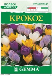 GEMMA CROCUS BULBS MIX 5 PCS 3530 GEMMA ΚΡΟΚΟΣ ΒΟΛΒΟΙ ΜΙΓΜΑ 5 PCS 3530