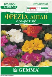 GEMMA FREESIA DOUBLE MIX 7 PCS 3580 GEMMA ΦΡΕΖΙΑ ΔΙΠΛΗ ΜΙΓΜΑ ΒΟΛΒΟΙ 7 PCS 3580