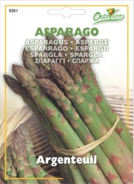 ASPARAGUS SEEDS ΣΠΟΡΟΙ ΣΠΑΡΑΓΓΙ