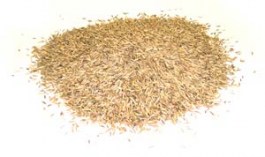 BERMUDA GRASS SEED 100gr ΒΕΡΜΟΥΔΑ ΣΠΟΡΟΣ ΓΡΑΣΙΔΙΟΥ 100gr