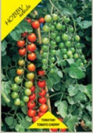 TOMATO RED CHERRY SEEDS ΣΠΟΡΟΙ ΝΤΟΜΑΤΙΝΙΑ ΤΣΕΡΙ
