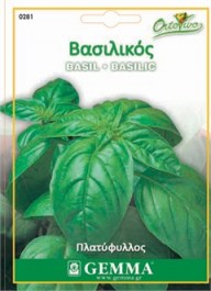 BASIL LARGE LEAF SEEDS ΣΠΟΡΟΙ ΠΛΑΤΥΦΥΛΛΟΣ ΒΑΣΙΛΙΚΟΣ