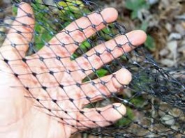 SNAKE PROTECTION NET 120 X 120CM 9901 ΔΙΧΤΥ ΠΡΟΣΤΑΣΙΑΣ ΦΙΔΙΩΝ 120 Χ 120CM 9901