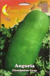 WATERMELON CHARLESTON GRAY SEEDS ΣΠΟΡΟΙ ΚΑΡΠΟΥΖΙ CHARLESTON GRAY