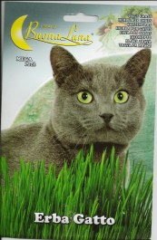 CAT GRASS SEEDS ΣΠΟΡΟΙ ΓΑΤΟΧΟΡΤΟΥ