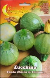 MARROW TONDA CHIARA DI TOSCANA SEEDS ΣΠΟΡΟΙ ΚΟΛΟΚΥΘΑΚΙ TONDA CHIARA DI TOSCANA