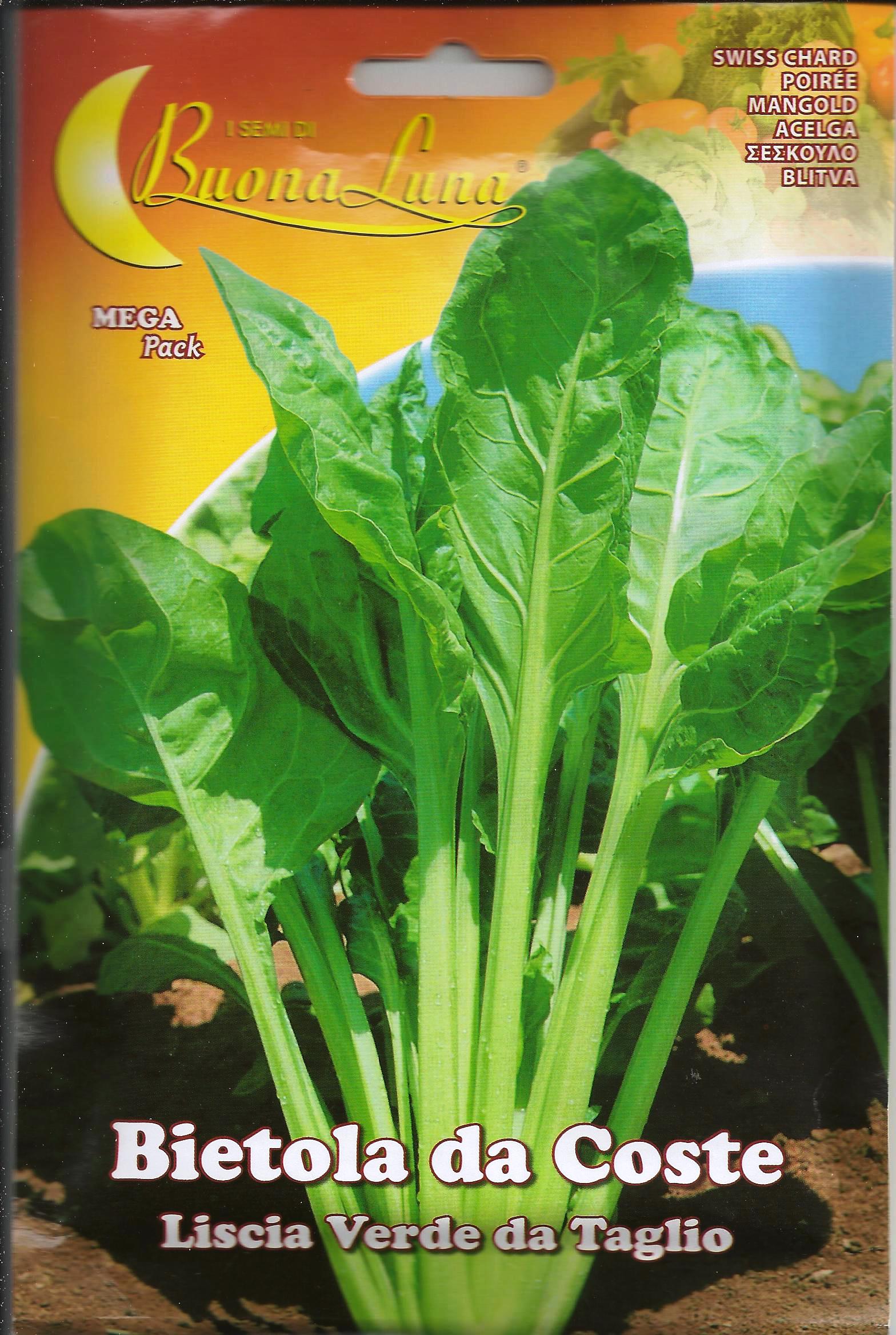 Vegetable Seeds Swiss Chard Liscia Verde Da lio Seeds