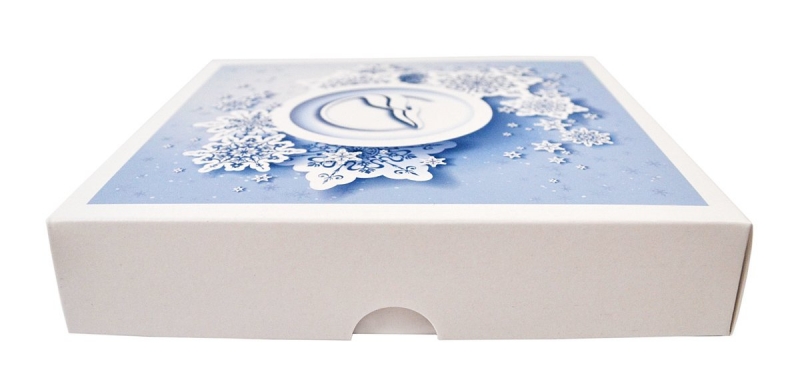 Фирменная коробка, логотип нанесен на крышку коробки