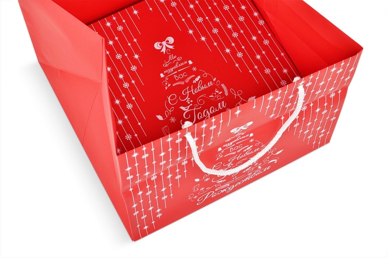 изготовление коробок подарочных с пакетами