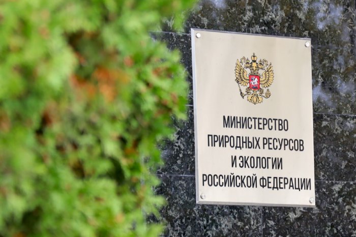 Опубликован новый проект приказа Минприроды России, регламентирующий импорт ГФУ-хладагентов