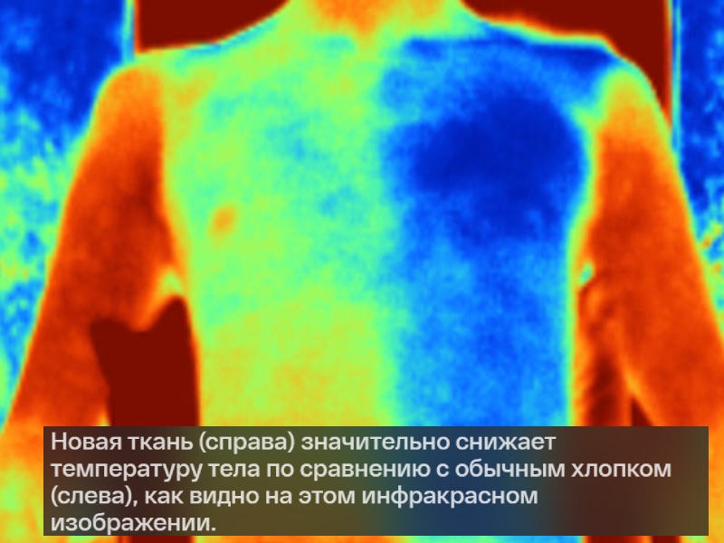 Ученые изобрели футболку-холодильник, которая может охладить тело на 5 °C