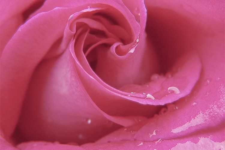 L'amore e le sue vie infinite