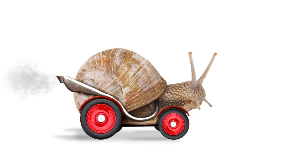 Resilienza e forza d'animo