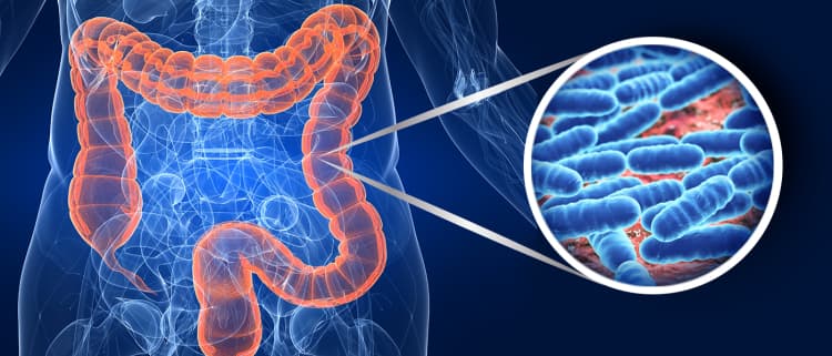Nuovi studi: esiste un collegamento tra microbiota intestinale e salute mentale