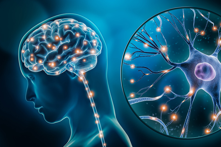 serotonina naturale