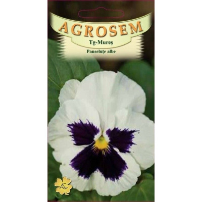 Panselute albe seminte - Viola witrockiana