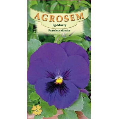 Panselute albastre seminte - Viola witrockiana