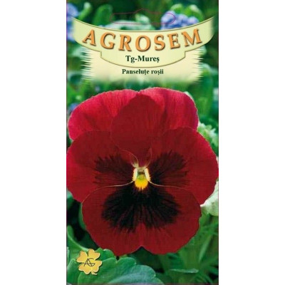 Panselute rosii seminte - Viola witrockiana