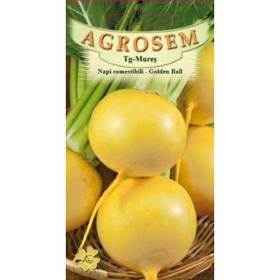 Napi comestibili Golden Ball seminte - AS - Brassica rapa