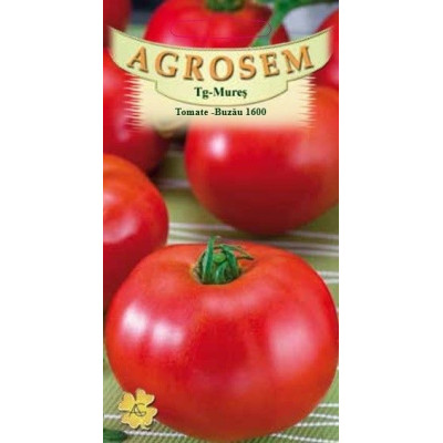 Tomate Buzau 1600 seminte - AS - Lycopersicon esculentum
