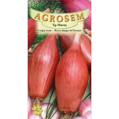 Ceapa rosie seminte - Allium cepa Rossa lunga di Firenze
