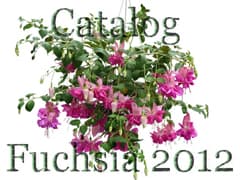 catalog fuchsia