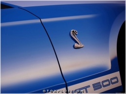 Ford Shelby Cobra Yan Logo Amblem