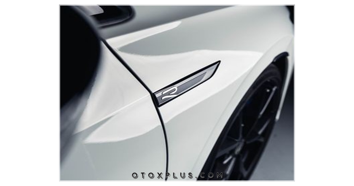 VW Golf 8 R line Yan Çamurluk Logo Amblem Seti