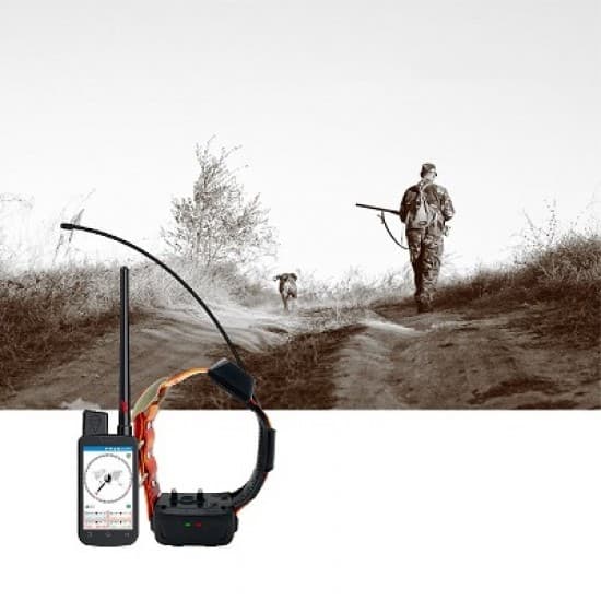 Profesionálny GPS Tracker v tvare obojku pre psov bez nutnosti používať SIM kartu 
