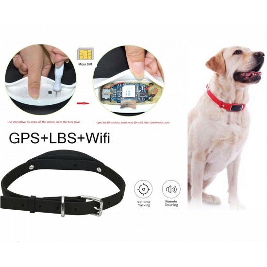 GPS tracker pre psy a mačky – telekomunikácia, GPS, WiFi, LBS lokalizácia