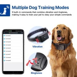 4G GPS tracker (GPS lokátor) pre psy – výskyt, pohyb, odposluch, ďiaľkové znelky a vibrácie