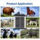 GPS tracker pre kone, hovädzí dobytok a iné veľké zvieratá - so solárnym nabíjaním [5000mAh]